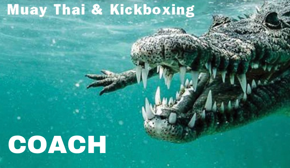 Trainers en Vechters Kickboksen, K1 en Full Muay Thai - Competitie 1