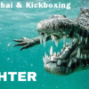 Emmelly Goderis: Competitie vechter Kickboksen en Full Muay Thai
