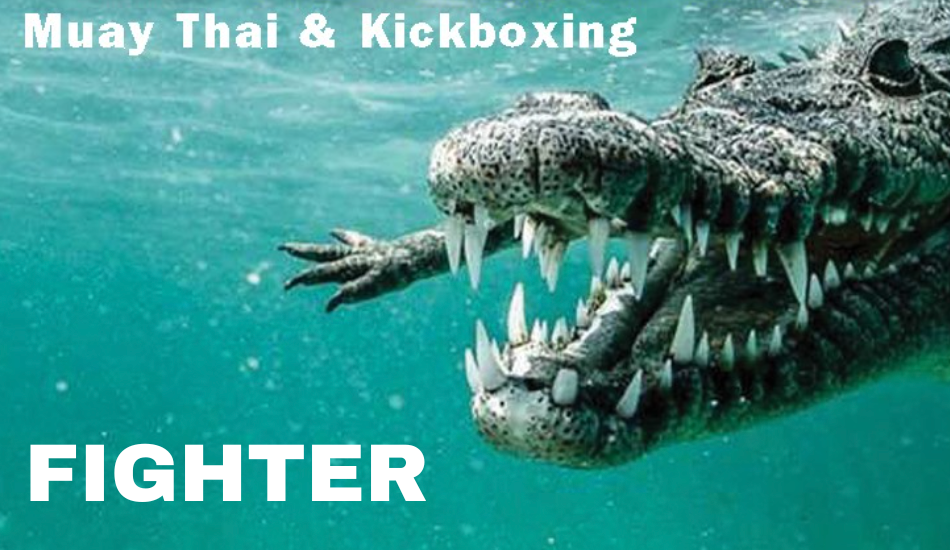 Trainers en Vechters Kickboksen, K1 en Full Muay Thai - Competitie 3