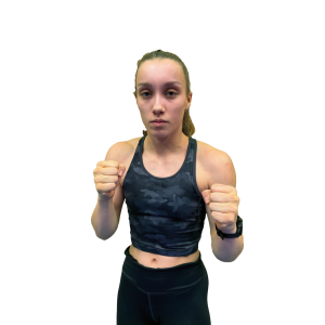 Fighter_No_Background_Desteny